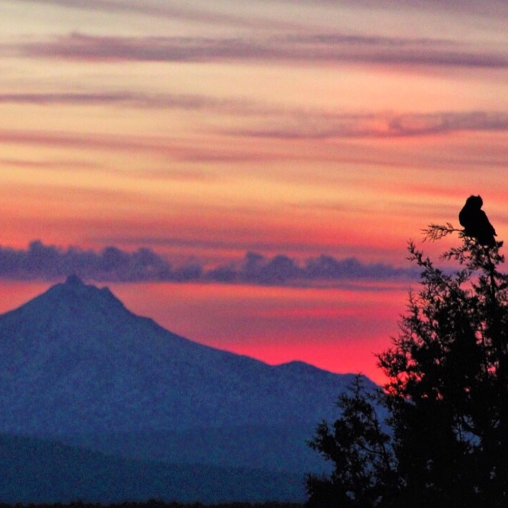 Meet your Posher, Lara